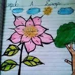 Jen Nardo - Facebook