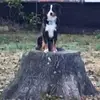 Jeanette Newberry Hogan - @jeanette.newberry - TikTok