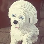 Jean Newell - @newelljean - Instagram
