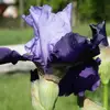 jeannenewell915 - @jeannenewell915 - TikTok