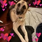 Jean Nickerson - Facebook