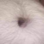Jean Nickerson - @jeannickerson100 - Instagram