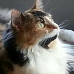 Jean Nulle - @jeannulle - Instagram