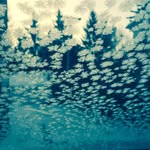 Jean Nye - @jeannye5844 - Instagram