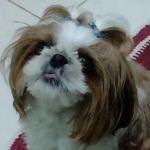 jeannye - @jeannye2023 - Instagram