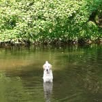 jean oates - @jean.oates - Instagram