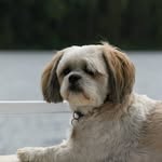 Jean Olson - @jean_olson_63 - Instagram