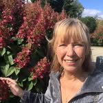 Jean Olson - @gepaqiwyw - Instagram