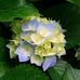 Jean Osburn - Facebook