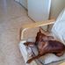 Jean Pace - Facebook
