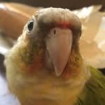 Jean Padgett - @padgett3756 - Instagram