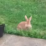 Jean Marc Panzani - @panzanijeanmarc - Instagram