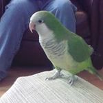 J PARROTT - @jean.parrott.31 - Instagram