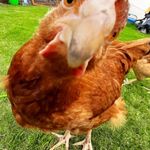 Jean Paterson - @brankers29 - Instagram