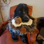 Jean Paterson - @jean.paterson.3367 - Instagram