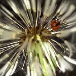 Jean Paterson - @paterson8781 - Instagram