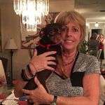 Jean patten knight - @jeanpattenknight - Instagram
