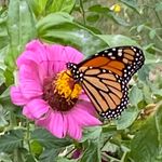 Jean Pence - @jean_pence - Instagram