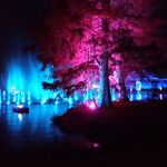 Jean Pepper - @jpear73 - Instagram