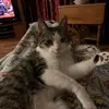 Jean Davis Perdue - @jean.davis.perdue - TikTok