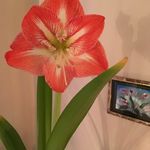 Jean Perryman - @wit63fdsy32 - Instagram