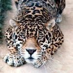Jean Perryman - @jean.perryman - Instagram