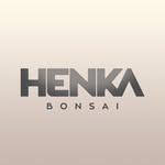 Jean-Philippe Sonnet - @henkabonsai - Instagram