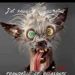 Jean Plante - @jeanplante - Instagram