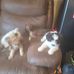 Jean Plunkett - Facebook