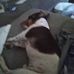 Jean Prather - Facebook