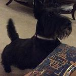 Jean Prather - @jeanprather - Instagram