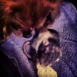 Jean Prather - @benteenagechat - Instagram