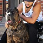 jean prather - @loudbark_dog_delivery_globally - Instagram