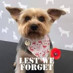 Jean Priest - @jean1.950 - Instagram