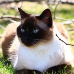 Jean Proctor - @motherofpearl62 - Instagram