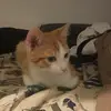 Jean prout - @jean.prout1 - TikTok