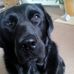Jean Pullen - Facebook