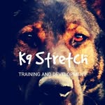 Jane Purdon - @k9stretchtas - Instagram