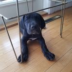 Jean Purdon - Facebook