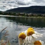Jean Purdy Pennington - @jeanbird6 - Instagram