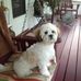 Jean Pyle - Facebook