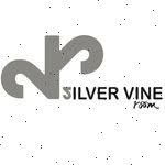SilverVineRoom - @quirkjeanenc - Instagram