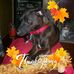 Jean Rainey Uhrig - Facebook