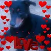 jeanitarainey853 - @jeanitarainey853 - TikTok
