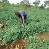 Jean Rameau sokoudjou - @jeanrameausokou59 - TikTok
