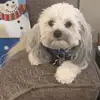 jean.ratliff - @jean.ratliff - TikTok