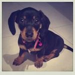 Gloria Jean Rayner - @gia__tiamaria - Instagram