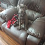 Jean Rayner - @jean_rayner - Instagram