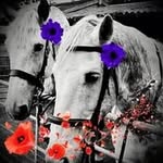 Jean Rees Hughes - @mairwen405 - Instagram