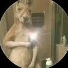 jean rey - @jean.rey54 - TikTok